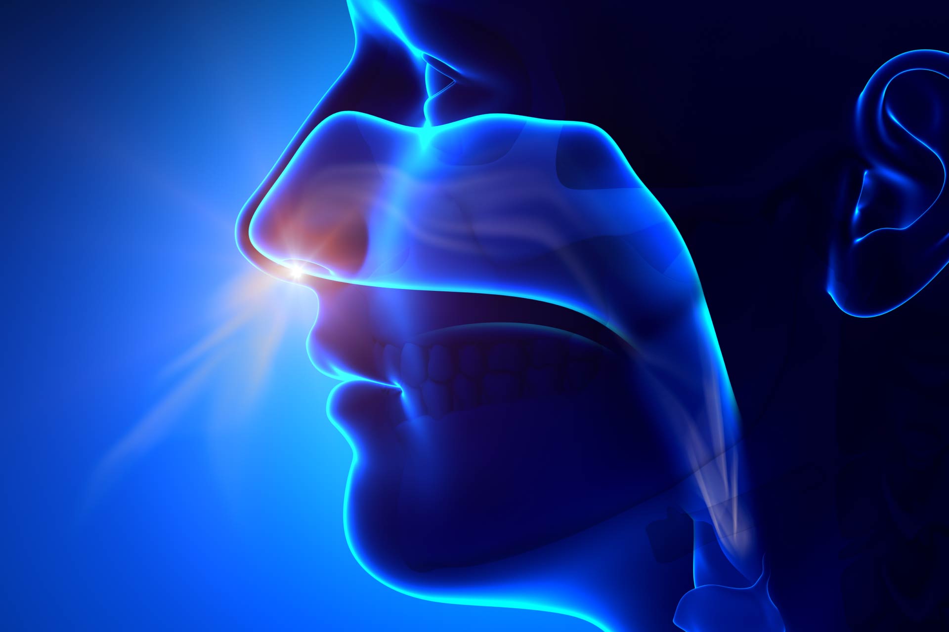 anosmia